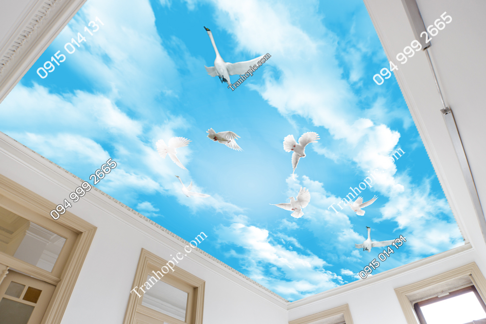 Tranh dán trần mây và chim bồ câu 34600 demo