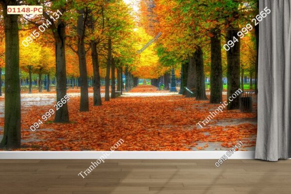 Tranh dán tường hàng cây lá vàng mùa thu 01148