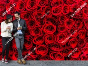 Tranh dán tường background hoa hồng đỏ lãng mạn 1145359871
