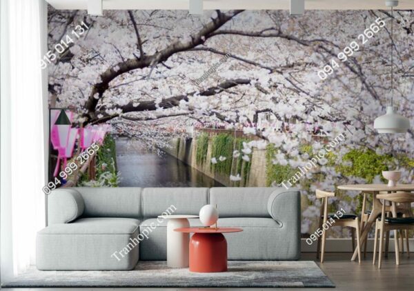 Tranh dán tường hoa anh đào trắng Nhật Bản -DAOMAI52