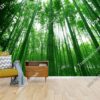 Tranh dán tường rừng tre xanh dán phòng khách 205493689