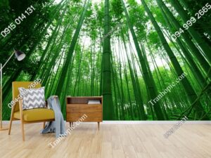 Tranh dán tường rừng tre xanh dán phòng khách 205493689