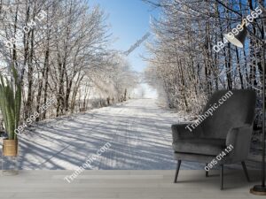 Tranh dán tường Con đường mùa đông vào một ngày sương giá đầy nắng với bầu trời xanh 268278510