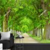 Tranh dán tường hàng cây Linden mùa xuân trong công viên 2107050277