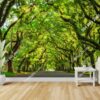 Tranh đường cây mái vòm Savannah xinh đẹp dán tường phòng 2847595074