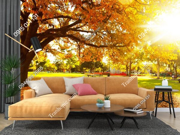 Tranh dán tường cây lá vàng mùa thu với tia nắng 64163475