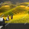 Tranh ruộng lúa bậc thang chín vàng mùa thu hoạch dán tường 578243229