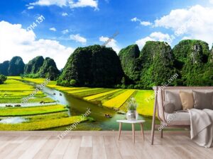 Tranh dán tường đồng lúa và sông Ngô Đồng ở Ninh Bình 462120094