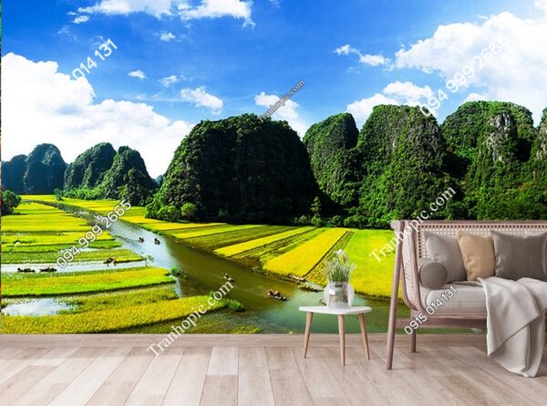 Tranh dán tường đồng lúa và sông Ngô Đồng ở Ninh Bình 462120094