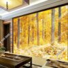 Tranh dán tường rừng bạch dương vàng mùa thu đẹp PK005132