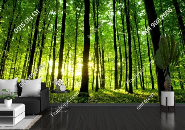 Tranh rừng xanh tươi đẹp với ánh nắng dán tường 211537714