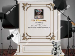 Tranh dán tường 3D phông nền livestream giả phào LV-0018