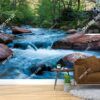 Tranh dán tường suối nước trong xanh chảy xuống sông ở Sedona Arizona 2055007975
