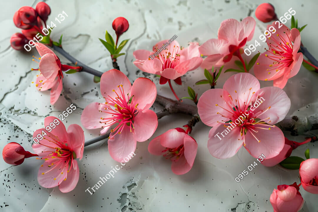 Tranh dán tường hoa đào nền đá 834979817