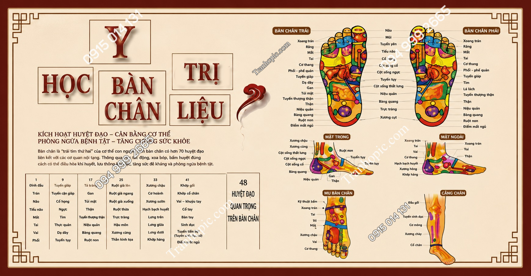 Tranh dán tường y học bàn chân trị liệu 2026320